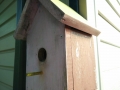 BirdHouse